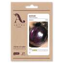 Aubergine Obsidian - Solanum melongena - Demeter...