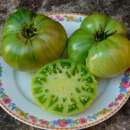 Tomate Absinthe - Solanum Lycopersicum - BIOSAMEN