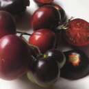 Tomate Clackamas Blueberry - Solanum Lycopersicum - BIOSAMEN