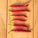 Chili, sehr scharf Takanotsume - Capsicum frutescens -...