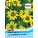 Madie, Fruchtduft-Madia Tropical Fruits - Madia elegans -...