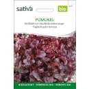 Eichblattsalat, rot Auslese Sativa - Lactuca sativa -...