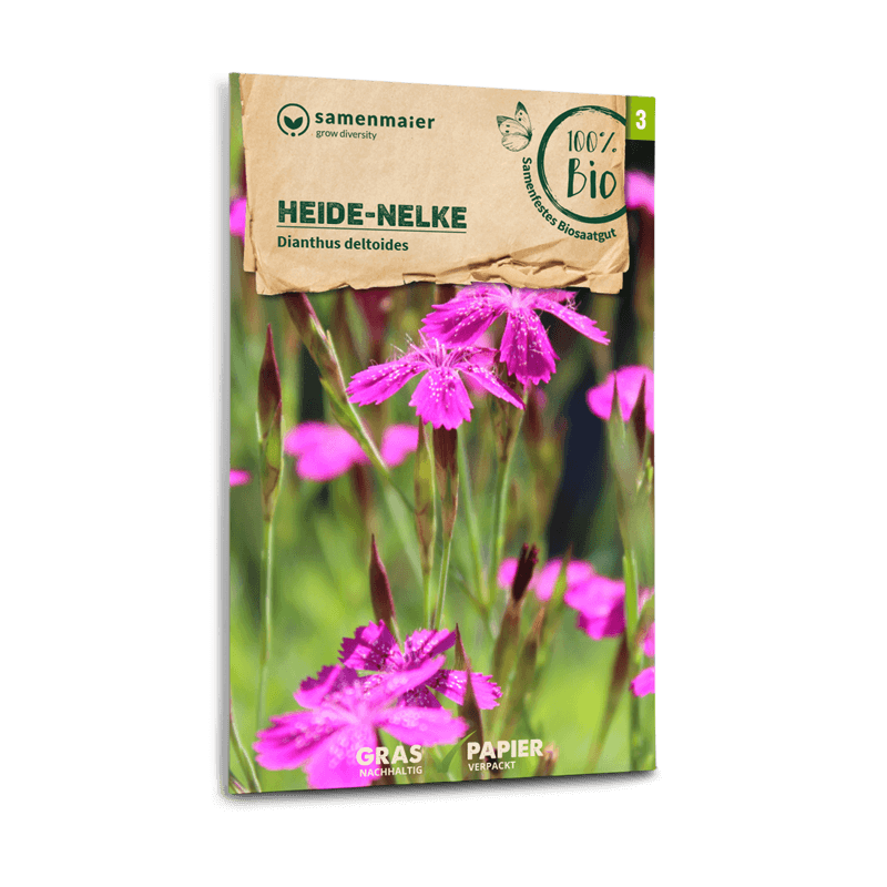 Heidenelke Bio Samen kaufen - Dianthus deltoides