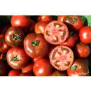 Tomate, Salattomate Revilla - Solanum Lycopersicum L. -...