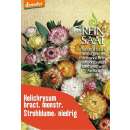 Strohblume, niedrig - Helichrysum bracteatum - Demeter...