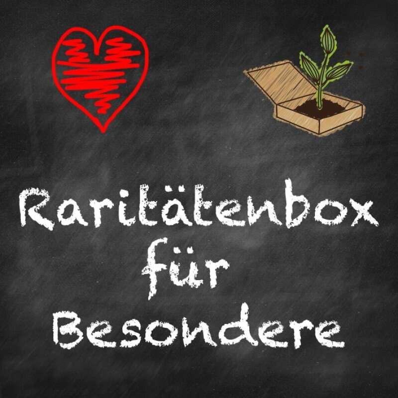 Beet-Box 'Raritätenbox für Besondere' Bio Samen kaufen | Saemereien.ch