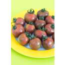Tomate Artisan Purple Bumble Bee -  Solanum lycopersicum...