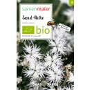 Sand-Nelke (Wildblume) - Dianthus serotinus - BIOSAMEN