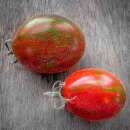 Tomate Churra Plum - Solanum Lycopersicum - BIOSAMEN