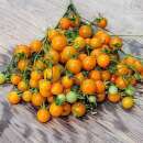 Tomate, Cherrytomate Orange Centiflor - Solanum...