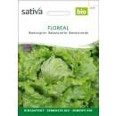 Bataviasalat Floreal - Lactuca sativa- BIOSAMEN