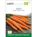 Karotte AMIVA (SAT26) - Daucus carota - BIOSAMEN