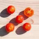 Tomate, Cherry Tomate Isis Candy Cherry - Solanum...