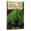 Asia-Salat, Blattsenf Golden Frills - Brassica juncea...