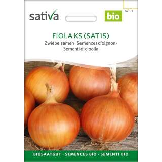 Zwiebel Fiola (SAT15) - Allium cepa - BIOSAMEN