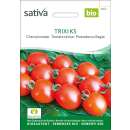 Tomate, Cherrytomate Trixi KS - Solanum lycopersicum -...