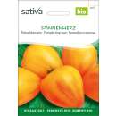 Tomate, Ochsenherztomate Sonnenherz - Solanum...