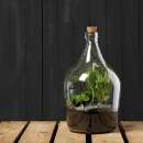 Pflanzenterrarium-Set Do-it-yourself 3 Liter