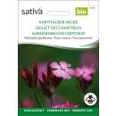 Karthäuser-Nelke - Dianthus carthusianorum - BIOSAMEN