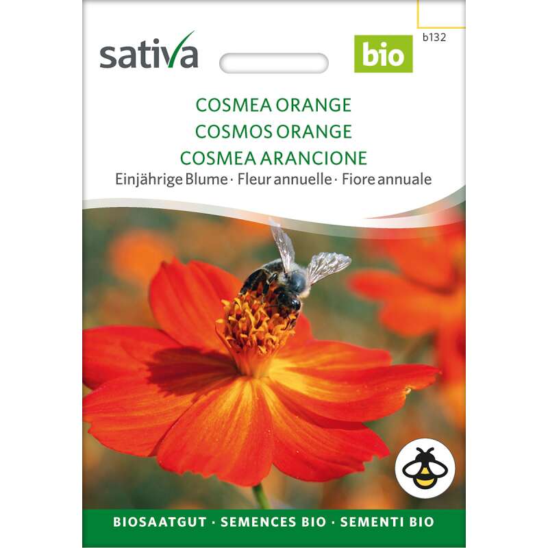 Cosmea 'orange' Bio Samen kaufen - Cosmos sulphureus | Saemereien.ch