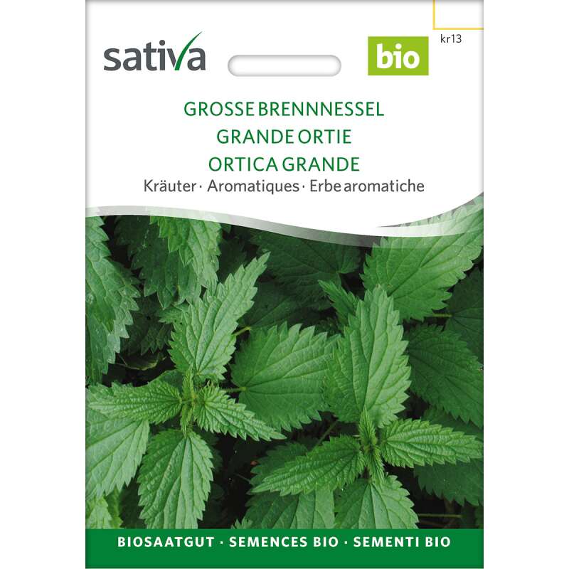 Brennnessel, grosse Bio Samen kaufen - Urtica dioica | Saemereien.ch