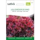 Eichblattsalat, Lattughino Lollo rosso - Lactuca sativa -...