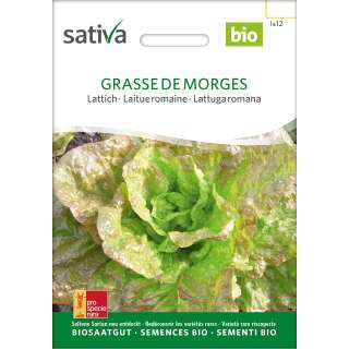 Lattich De Morges - Lactuca sativa longifolia- BIOSAMEN