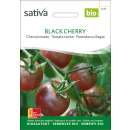 Tomate Black Cherry - Lycopersicon esculentum -Bio-Samen
