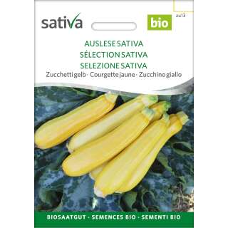 Zucchetti, Zucchini, gelb Auslese Sativa - Cucurbita pepo...