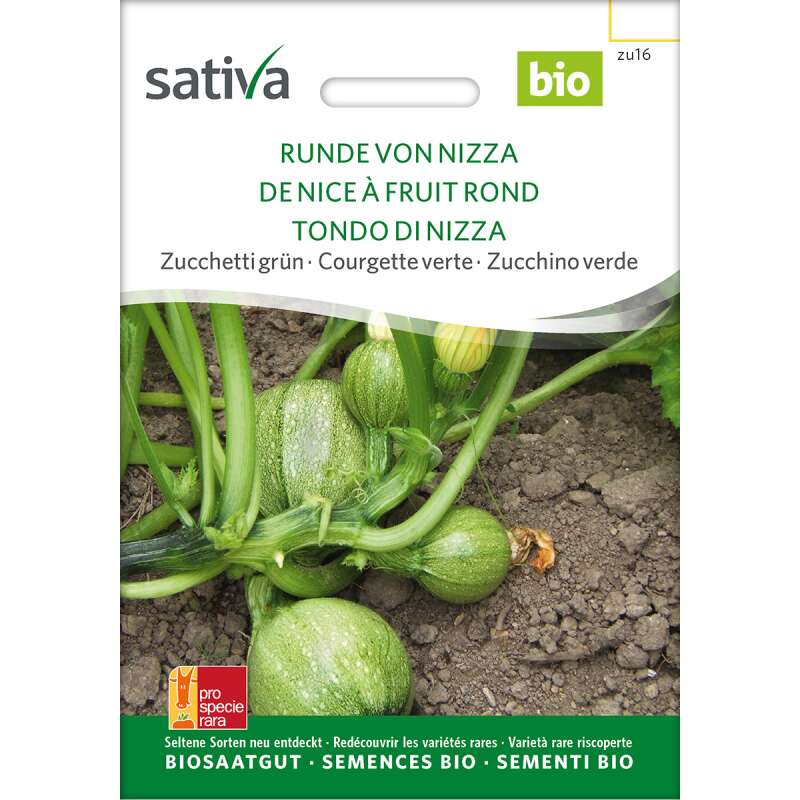 Zucchetti, Zucchini 'Runde von Nizza' Bio Samen online kaufen |  Saemereien.ch