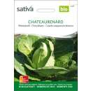 Weisskraut Chateaurenard - Brassica oleracea capitata-...