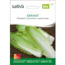 Chinakohl Granaat - Brassica pekinensis  - BIOSAMEN