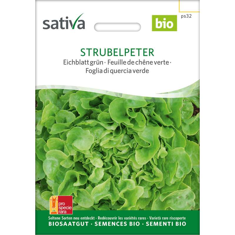 Eichblatt, grün 'Strubelpeter' Bio Samen online kaufen | Saemereien.ch