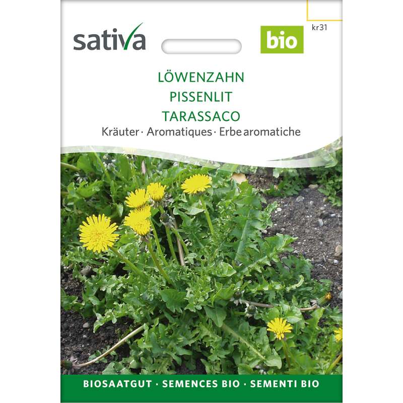 Löwenzahn Bio Samen kaufen - Taraxacum officinale
