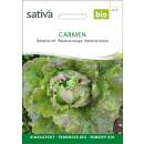 Batavia rot Carmen - Lactuca sativa  - BIOSAMEN