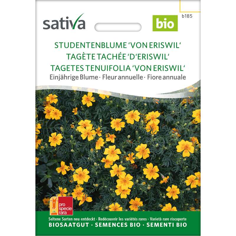 Studentenblume Bio Samen kaufen - Tagetes tenuifolia | Saemereien.ch