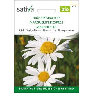 Margerite, Wiesenmargerite Bio Samen kaufen | Saemereien.ch