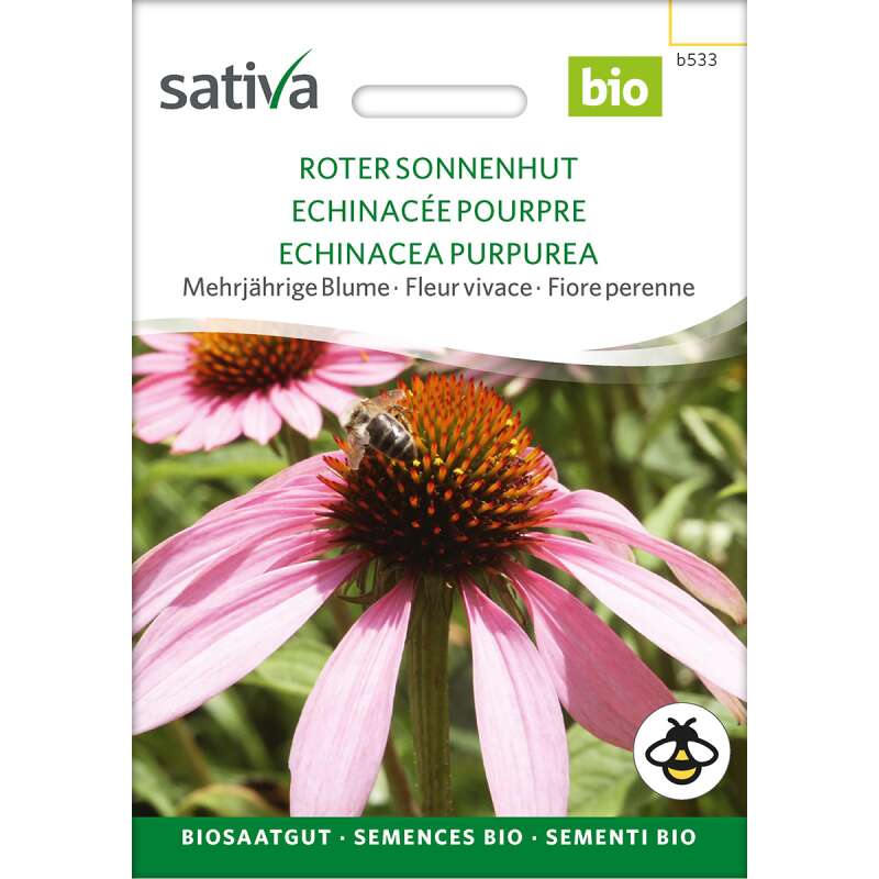 Sonnenhut Bio Samen kaufen - Echinacea purpurea