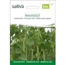 Markerbse Maxigolt - Pisum sativum - BIOSAMEN