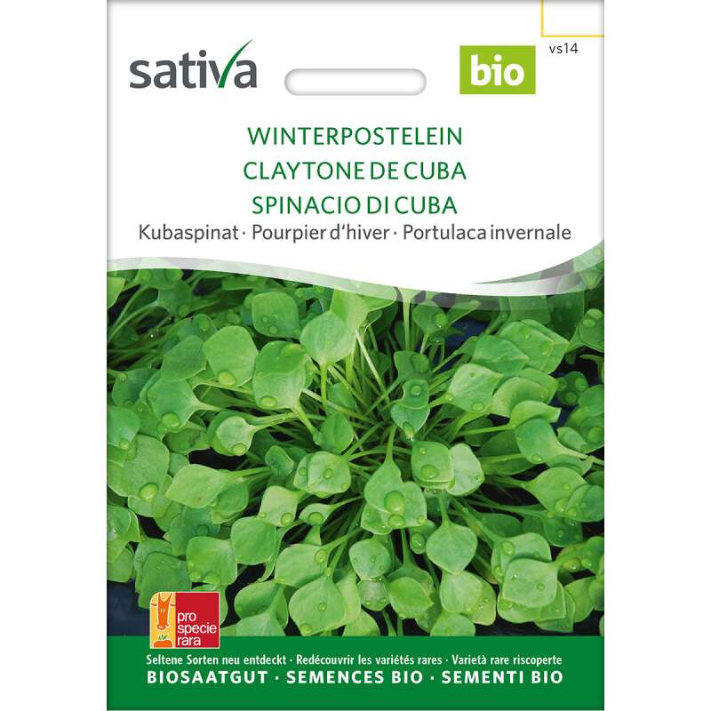 Winterportulak, Postelein Bio Samen online kaufen | Saemereien.ch