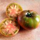 Tomate Cherokee Purple - Solanum lycopersicon - Tomatensamen
