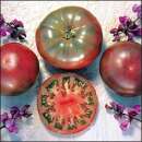 Tomate Cherokee Purple - Solanum lycopersicon - Tomatensamen