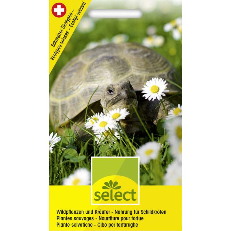 Wildpflanzen und Kräuter für Schildkröten Samen kaufen | Saemereien.ch