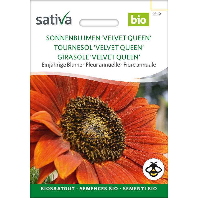 Sonnenblume 'Velvet Queen' Bio Samen kaufen | Saemereien.ch