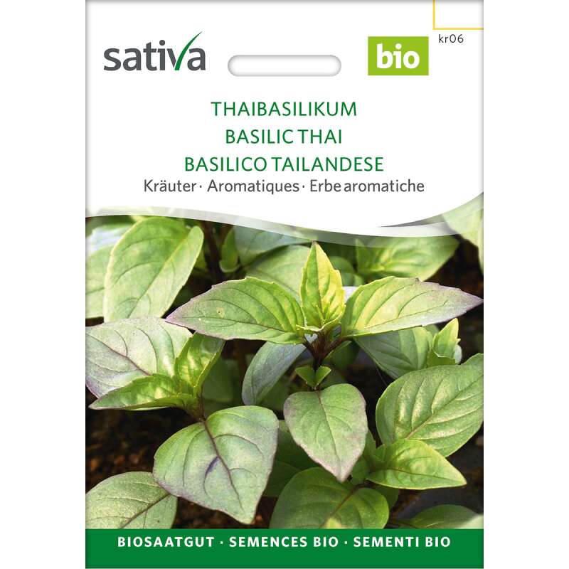 Basilikum, Thaibasilikum Samen kaufen - Ocimum basilicum | Saemereien.ch