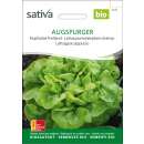 Kopfsalat Freiland Augspurger - Lactuca sativa -  Demeter...