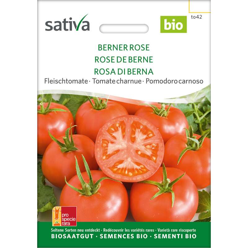 Tomate 'Berner Rosen' Bio Samen online kaufen | Saemereien.ch